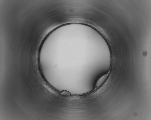 X0000101440846200808041213
