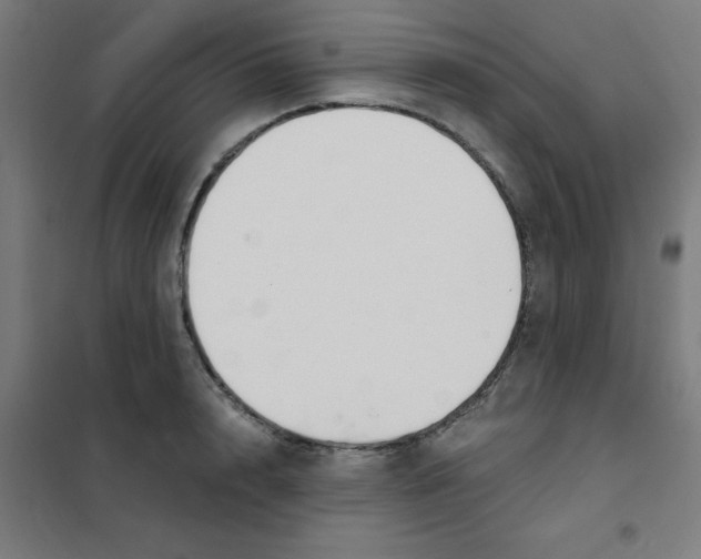 X0000101440848200808041213
