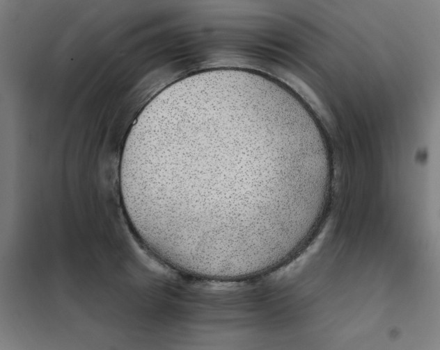 X0000101440849200808041213