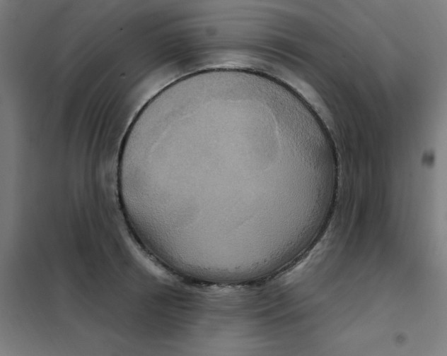 X0000101440850200808041213