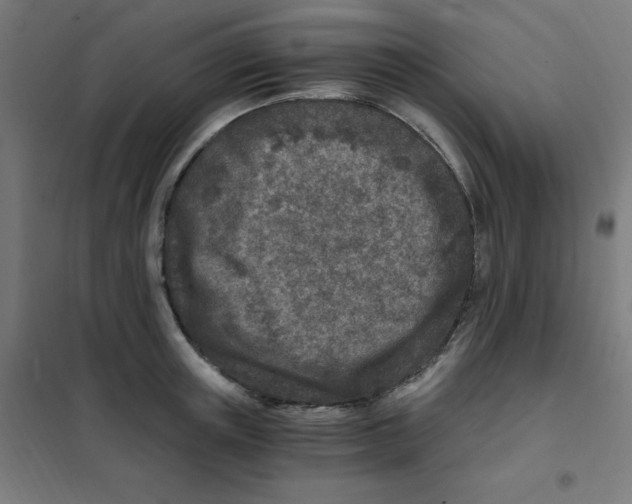 X0000101440851200808041213