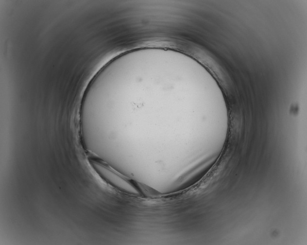 X0000101440852200808041213