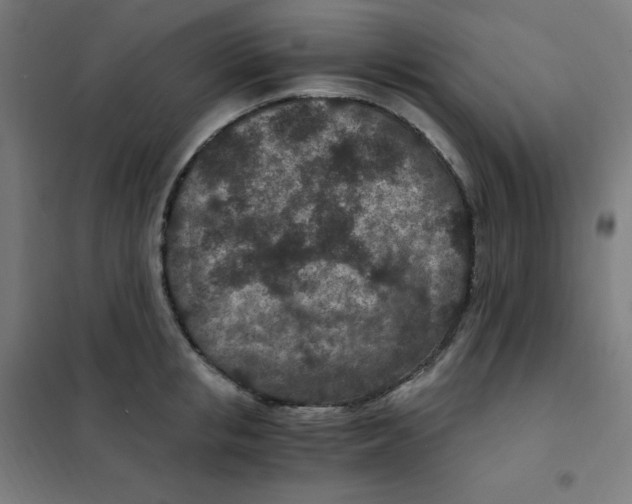 X0000101440853200808041213
