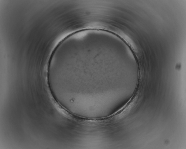 X0000101440854200808041213