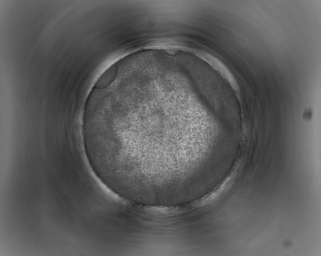 X0000101440855200808041213
