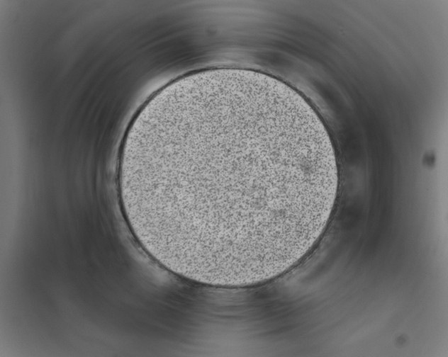 X0000101440856200808041213