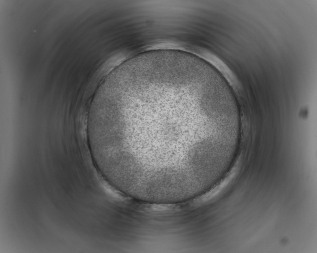 X0000101440857200808041213