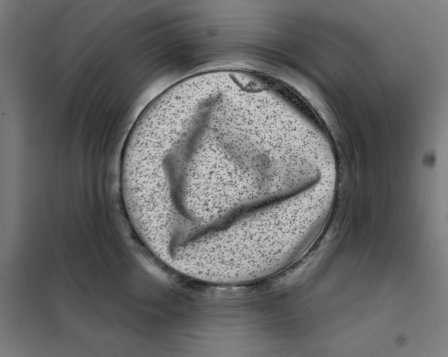 X0000101440858200808041213