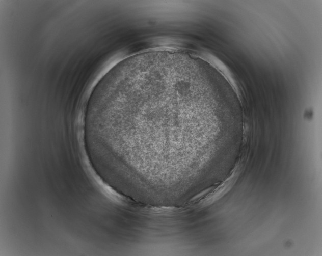 X0000101440859200808041213