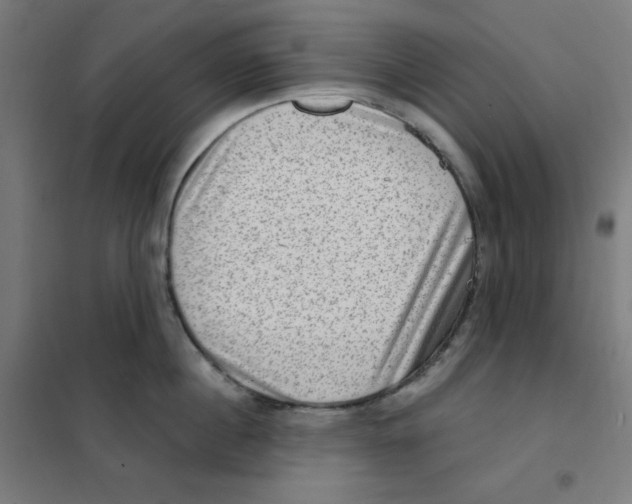 X0000101440860200808041213