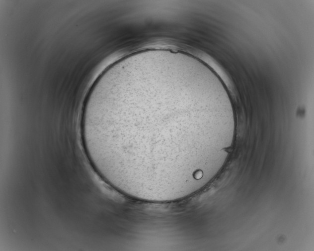 X0000101440861200808041213