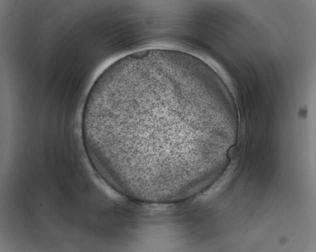 X0000101440862200808041213