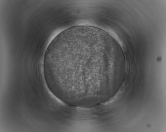 X0000101440863200808041213