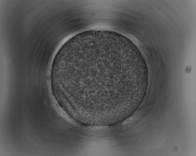 X0000101440864200808041213