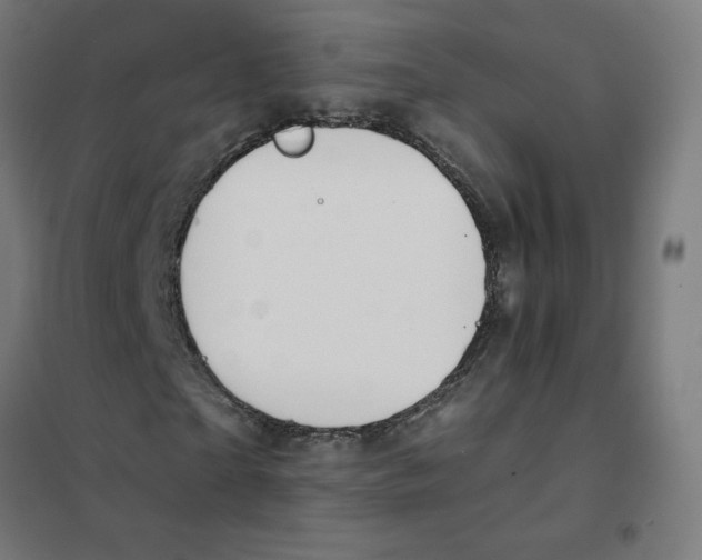 X0000101440865200808041212