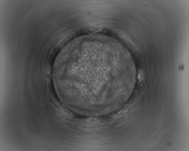 X0000101440867200808041212