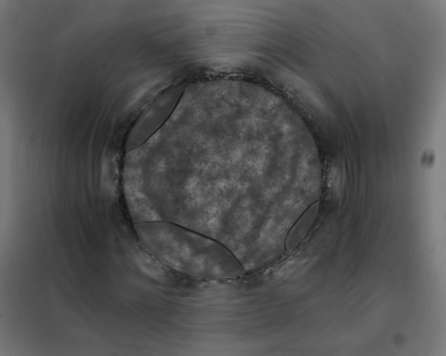 X0000101440868200808041212