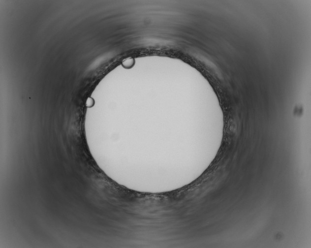 X0000101440869200808041212