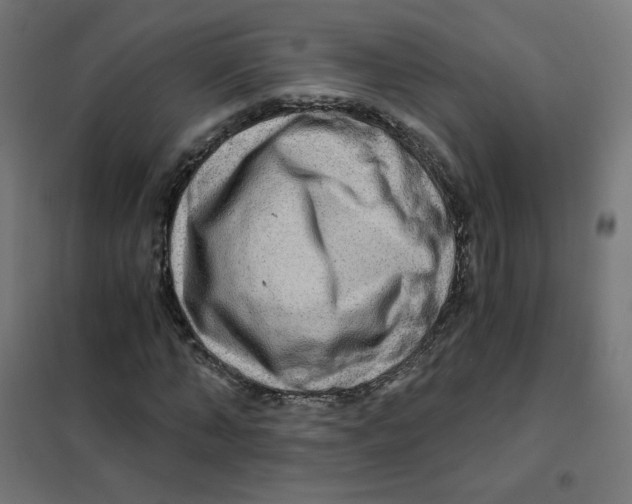 X0000101440870200808041212