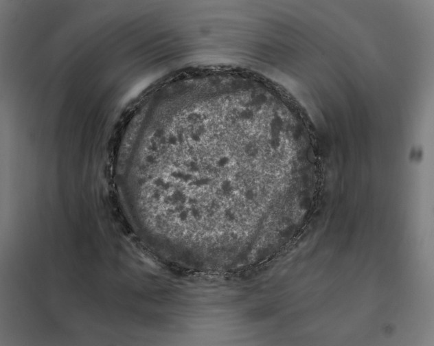 X0000101440871200808041212