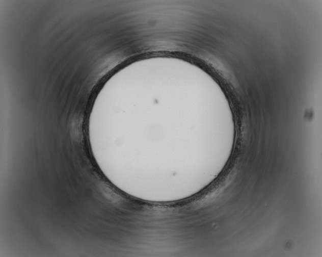 X0000101440873200808041212