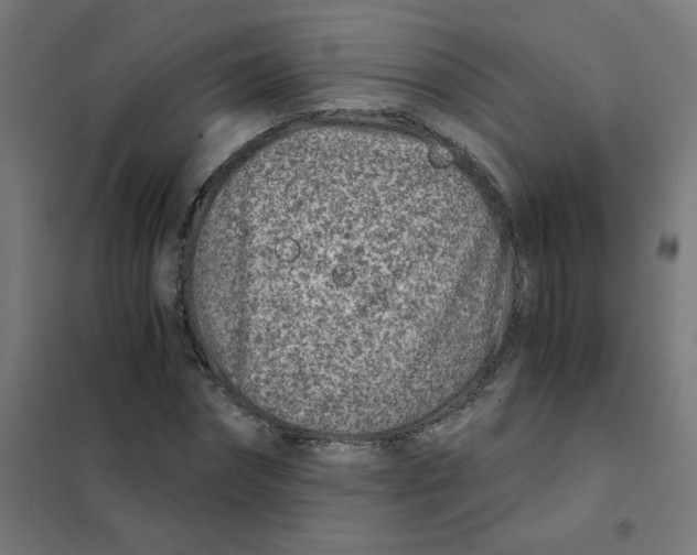 X0000101440874200808041212