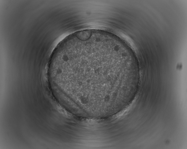 X0000101440875200808041212