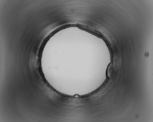 X0000101440876200808041212