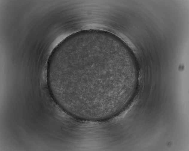 X0000101440877200808041212