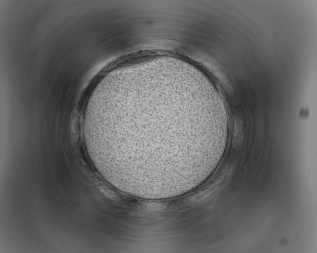 X0000101440878200808041212