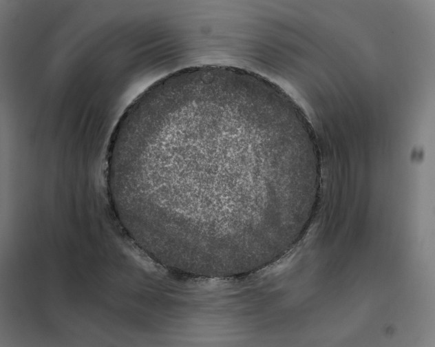 X0000101440879200808041212