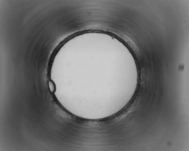 X0000101440880200808041212