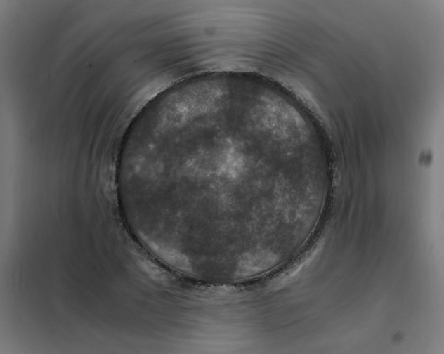 X0000101440881200808041212