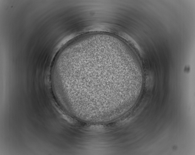 X0000101440882200808041212