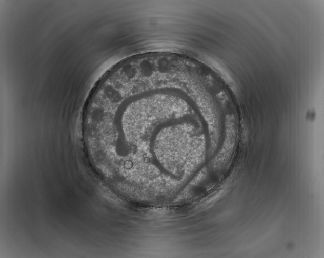 X0000101440883200808041212