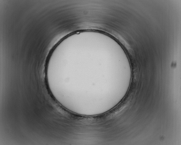 X0000101440885200808041212