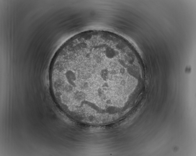 X0000101440887200808041212
