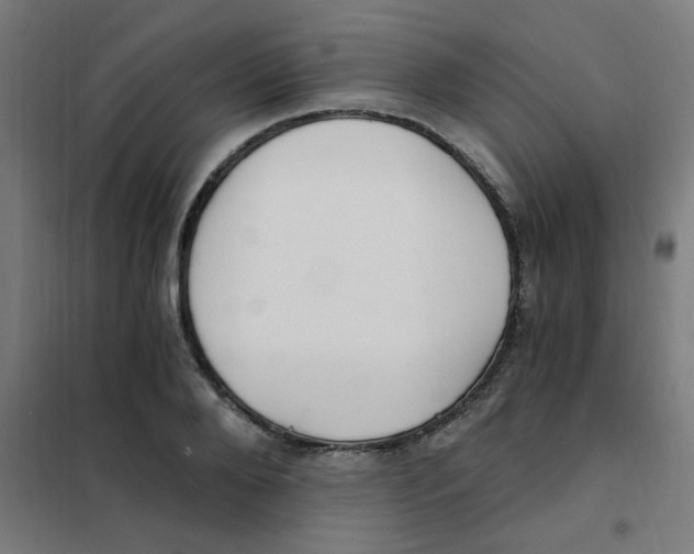 X0000101440888200808041212