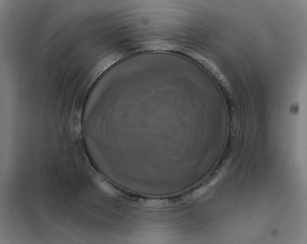 X0000101440889200808041212