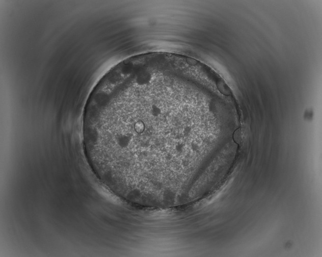 X0000101440891200808041212