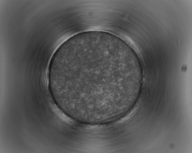 X0000101440892200808041212