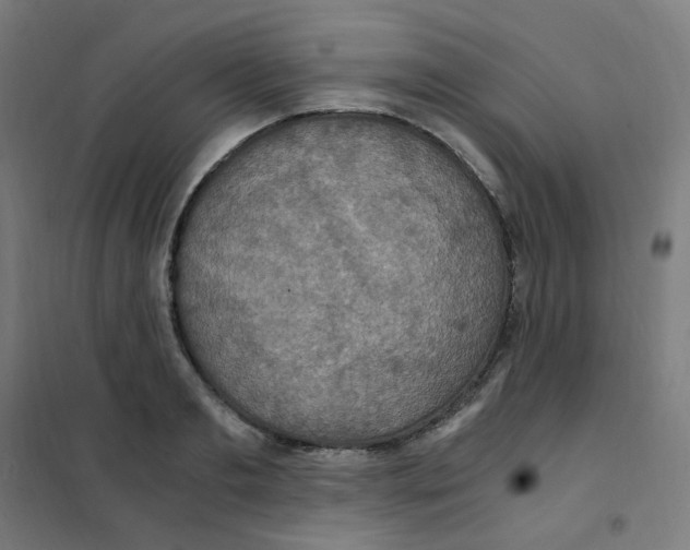X0000101440893200808041212