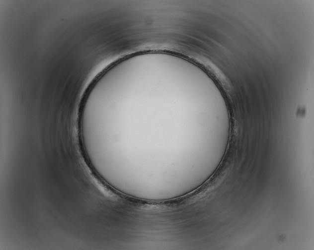 X0000101440894200808041212