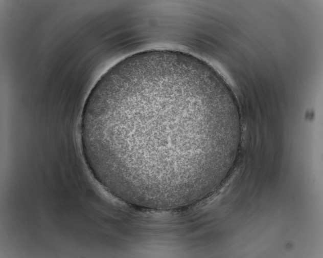 X0000101440895200808041212