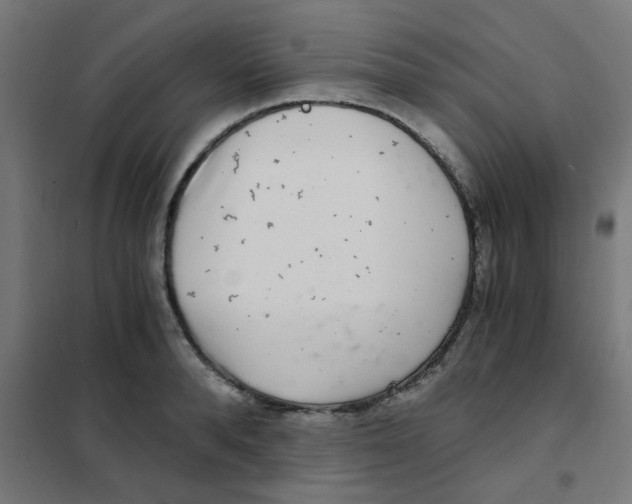 X0000101440896200808041212