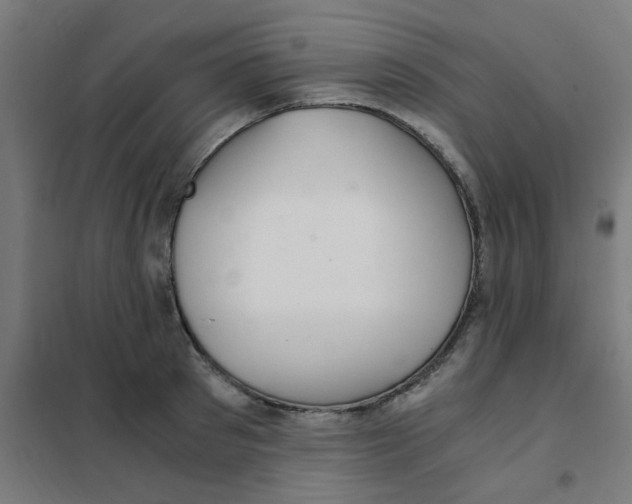 X0000101440897200808041212