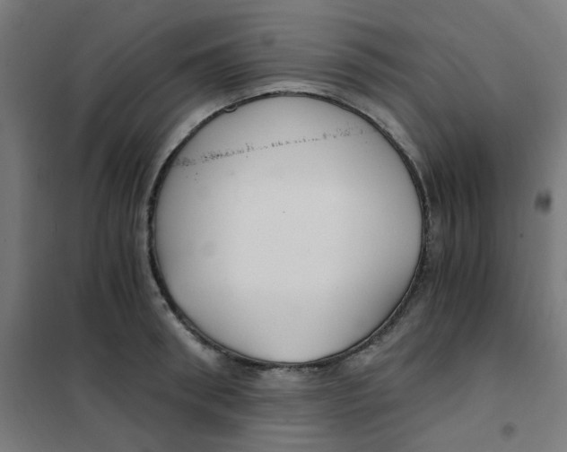 X0000101440898200808041212