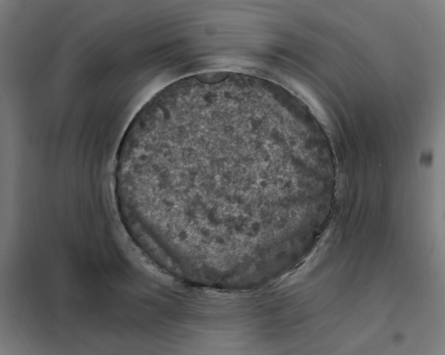 X0000101440899200808041212