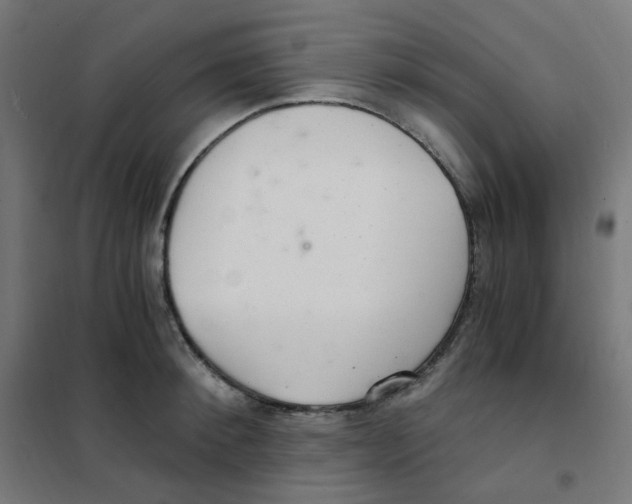 X0000101440900200808041212