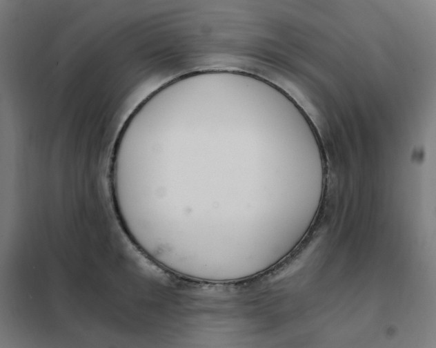 X0000101440901200808041212